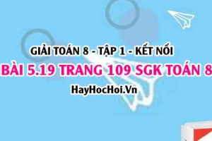 Giải bài 5.19 trang 109 Toán 8 Tập 1 SGK Kết nối tri thức